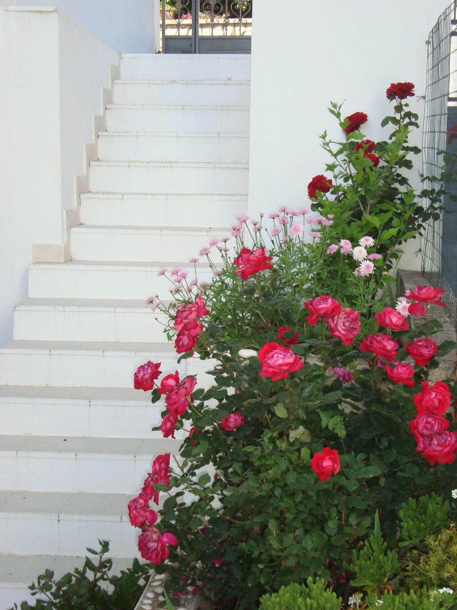 חוואר Guesthouse Iva מראה חיצוני תמונה